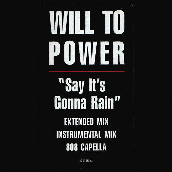 Will To Power : Say It's Gonna Rain (12")