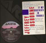 Jeffrey Osborne : If My Brother's In Trouble (12", Promo)