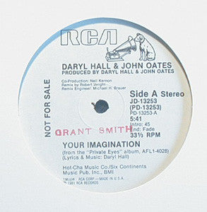 Daryl Hall & John Oates : Your Imagination (12", Promo)