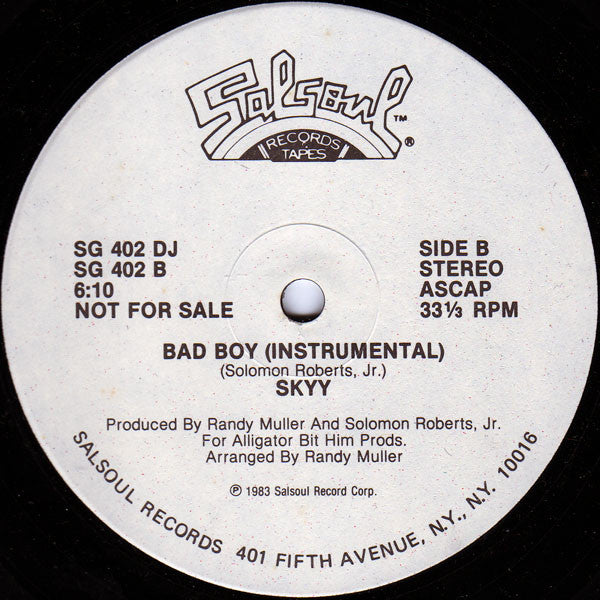Skyy : Bad Boy (12", Single, Promo)