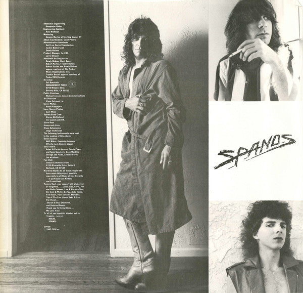 Danny Spanos : Looks Like Trouble (LP, Album, Pit)