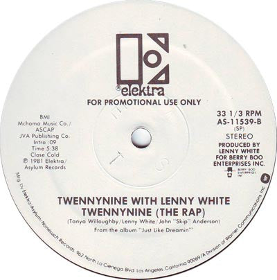Twennynine With Lenny White : All I Want (12", Promo)