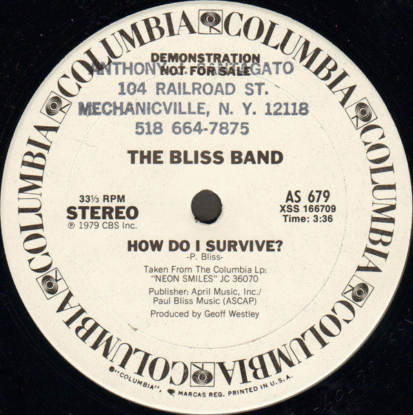 The Bliss Band : Doctor (12", Promo)