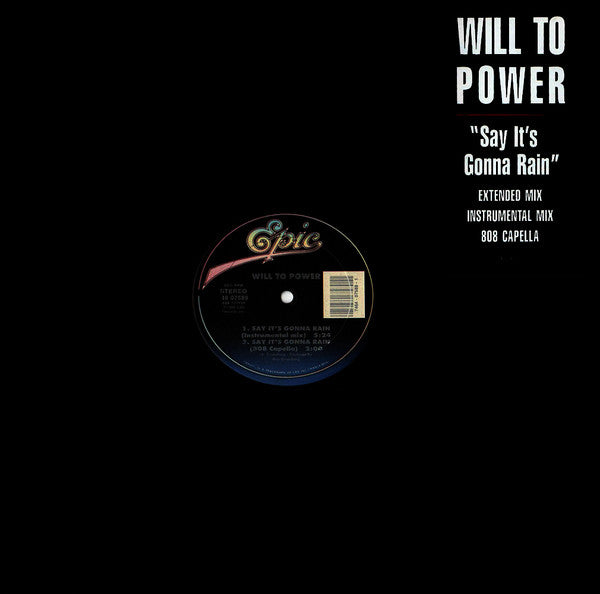 Will To Power : Say It's Gonna Rain (12")