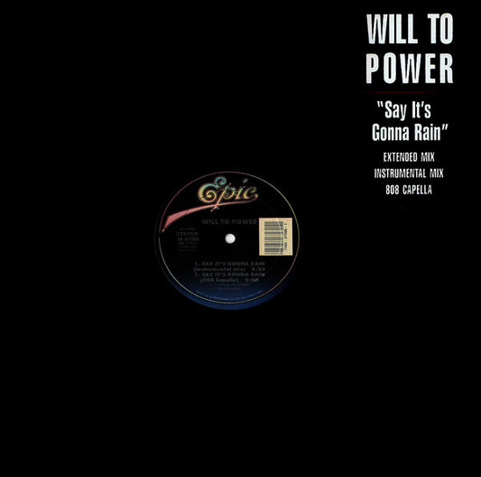 Will To Power : Say It's Gonna Rain (12")