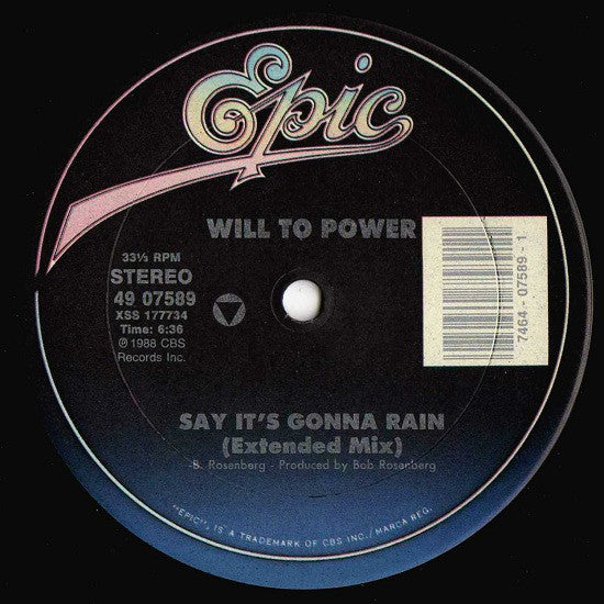 Will To Power : Say It's Gonna Rain (12")