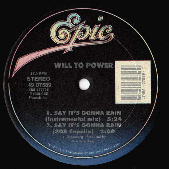 Will To Power : Say It's Gonna Rain (12")