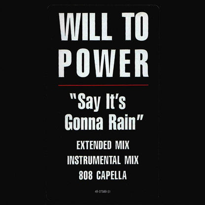 Will To Power : Say It's Gonna Rain (12")