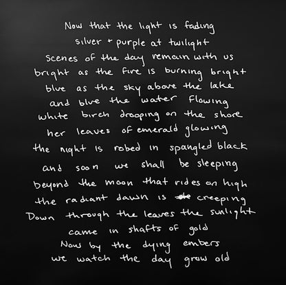 Maggie Rogers : Now That The Light Is Fading (10", EP)