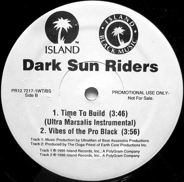Dark Sun Riders : Time To Build (12", Promo)