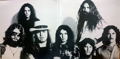 Lynyrd Skynyrd : Street Survivors (LP, Album)