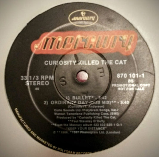 Curiosity Killed The Cat : Ordinary Day (12", Promo)
