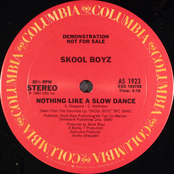 Skool Boyz : Nothing Like A Slow Dance (12", Promo)