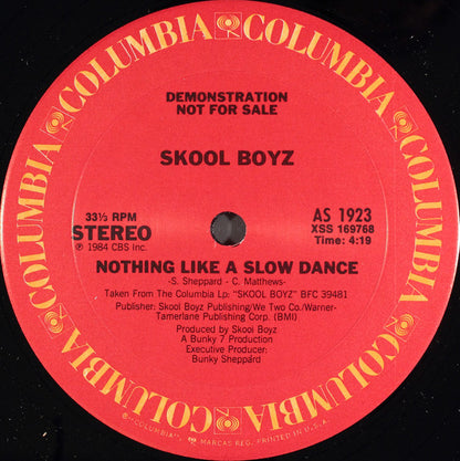 Skool Boyz : Nothing Like A Slow Dance (12", Promo)