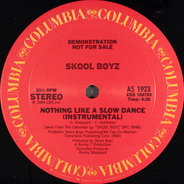 Skool Boyz : Nothing Like A Slow Dance (12", Promo)
