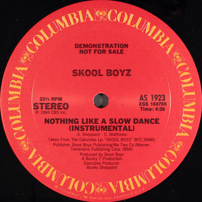 Skool Boyz : Nothing Like A Slow Dance (12", Promo)