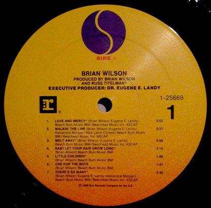 Brian Wilson : Brian Wilson (LP, Album, All)