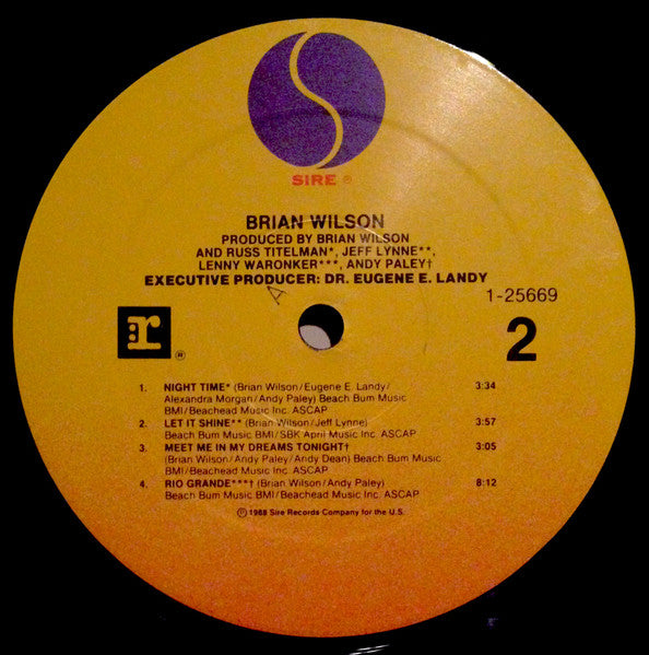 Brian Wilson : Brian Wilson (LP, Album, All)
