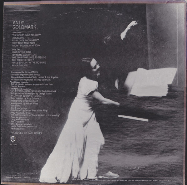 Andy Goldmark : Andy Goldmark (LP, Album, Promo)