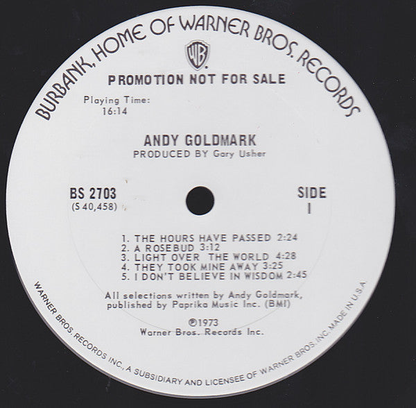 Andy Goldmark : Andy Goldmark (LP, Album, Promo)