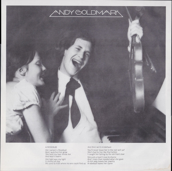 Andy Goldmark : Andy Goldmark (LP, Album, Promo)
