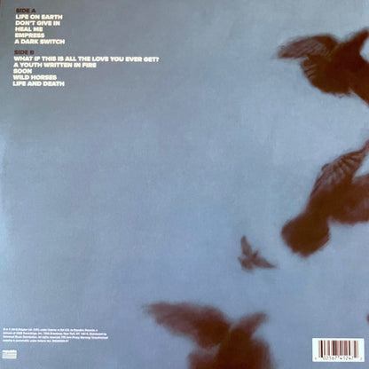 Snow Patrol : Wildness (LP, Album)