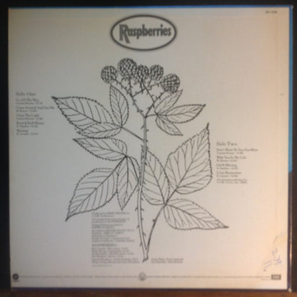 Raspberries : Raspberries (LP, Album)