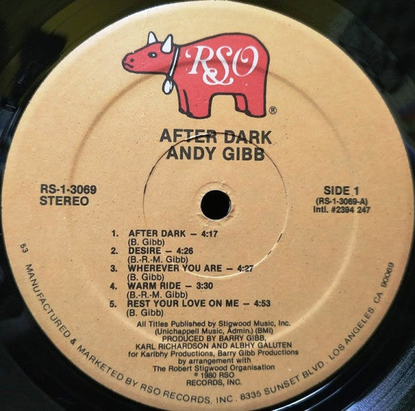 Andy Gibb : After Dark (LP, Album, 53)