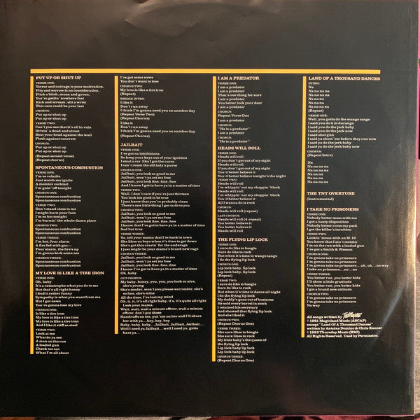 Ted Nugent : Intensities In 10 Cities (LP, Album)