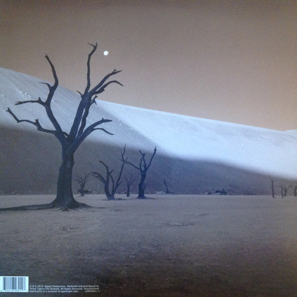 Bruce Hornsby : Absolute Zero (LP, Album)