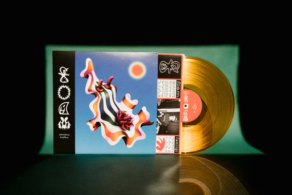 Divino Niño : Foam (LP, Album, Ltd, Ora)
