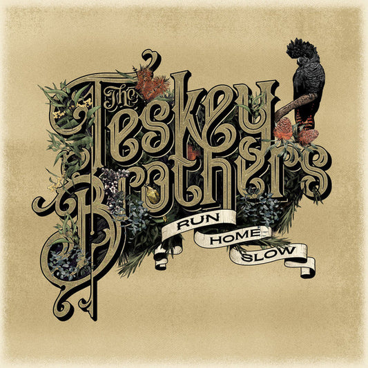 The Teskey Brothers : Run Home Slow (LP)