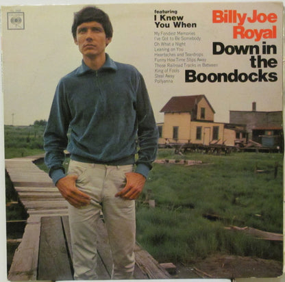 Billy Joe Royal : Down In The Boondocks (LP, Album, Mono)