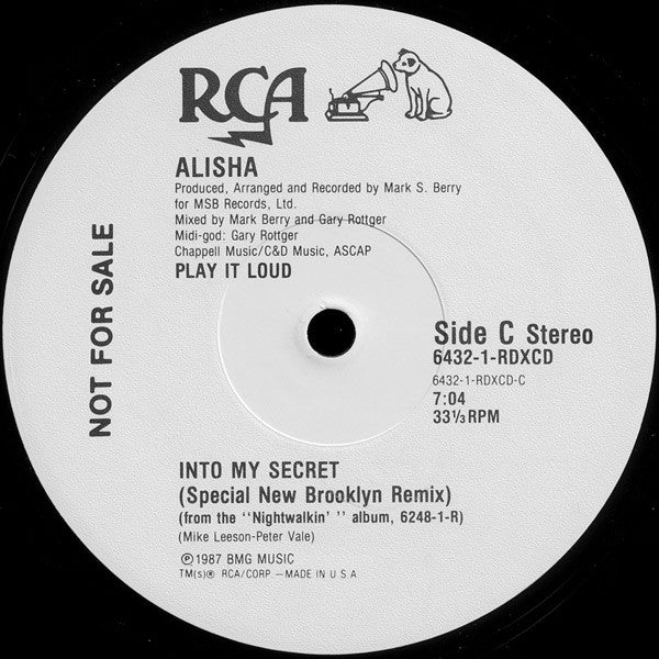 Alisha : Into My Secret (Special New Brooklyn Remix) (12", Promo)