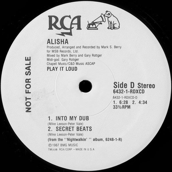 Alisha : Into My Secret (Special New Brooklyn Remix) (12", Promo)