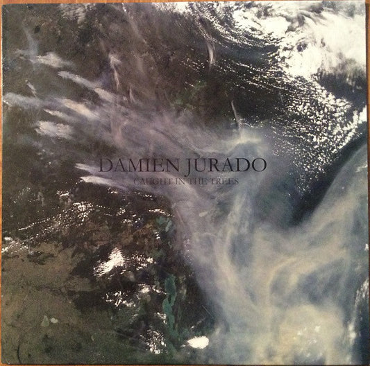 Damien Jurado : Caught In The Trees (LP, Album)