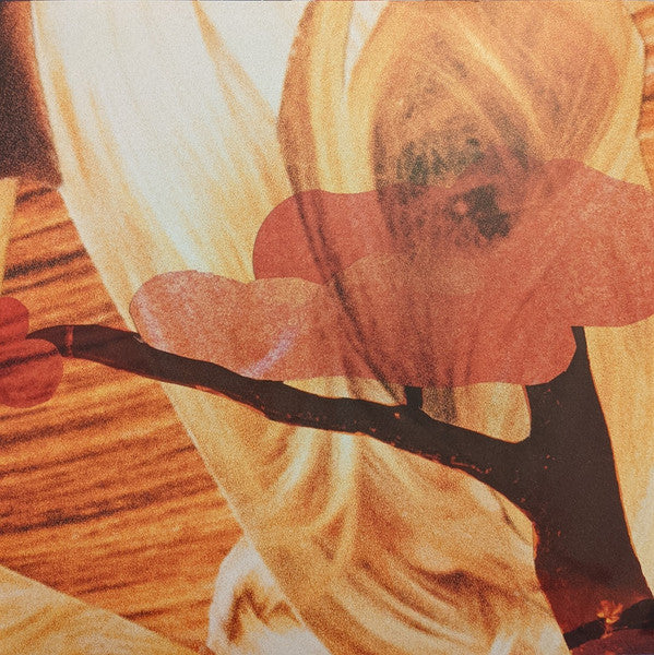 The National : Cherry Tree (12", EP, RE, RM)