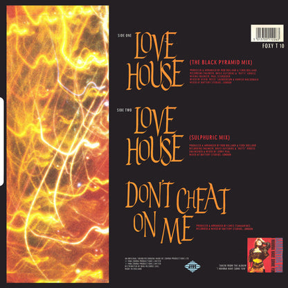 Samantha Fox : Love House (12", Single)