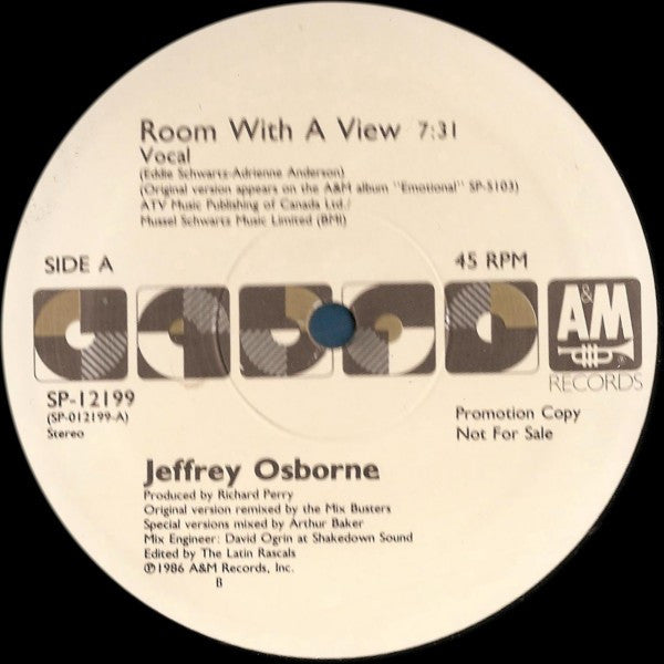 Jeffrey Osborne : Room With A View (12", Promo)