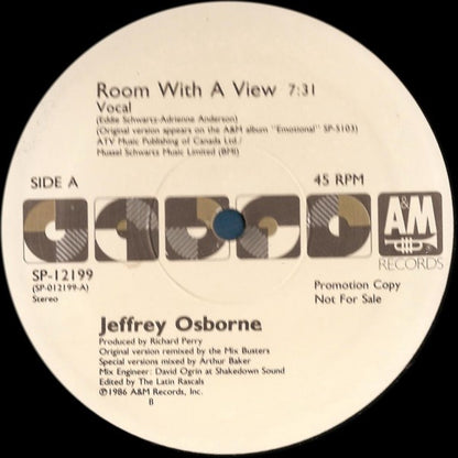 Jeffrey Osborne : Room With A View (12", Promo)