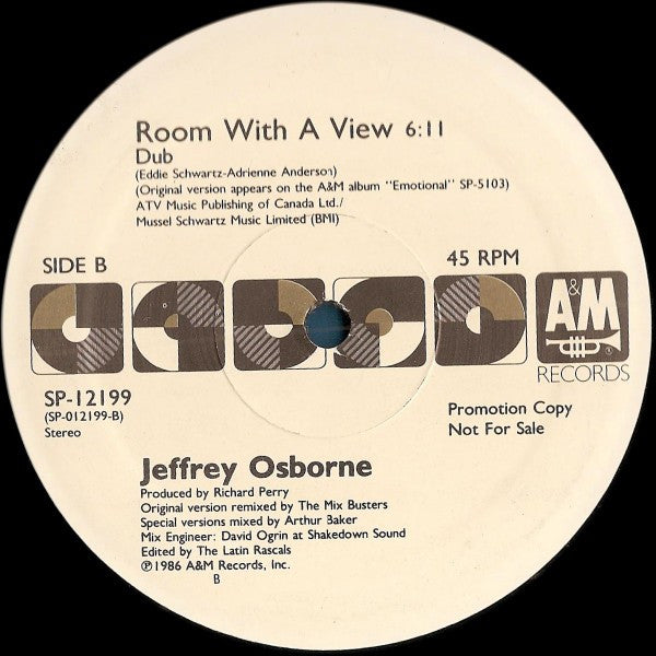 Jeffrey Osborne : Room With A View (12", Promo)