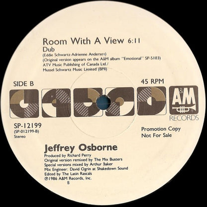 Jeffrey Osborne : Room With A View (12", Promo)