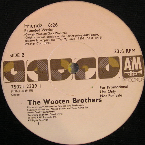 The Wooten Brothers : Friendz (12", Promo)