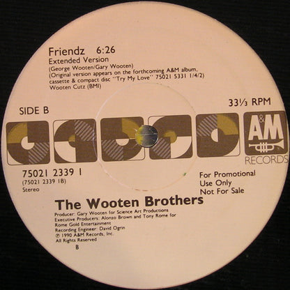 The Wooten Brothers : Friendz (12", Promo)