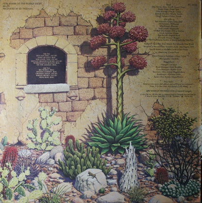 New Riders Of The Purple Sage : Brujo (LP, Album, Ter)