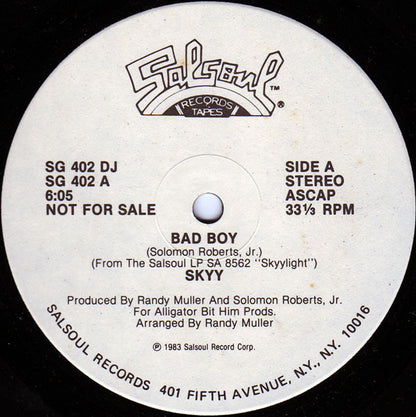 Skyy : Bad Boy (12", Single, Promo)