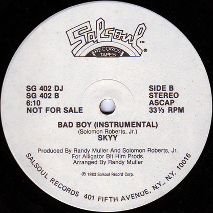 Skyy : Bad Boy (12", Single, Promo)