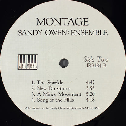 Sandy Owen : Montage (LP)