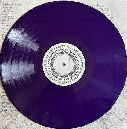 Rayland Baxter : If I Were A Butterfly (LP, Album, Pur)