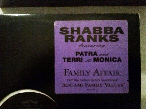 Shabba Ranks Featuring Patra And Terri & Monica : Family Affair (12", Maxi)
